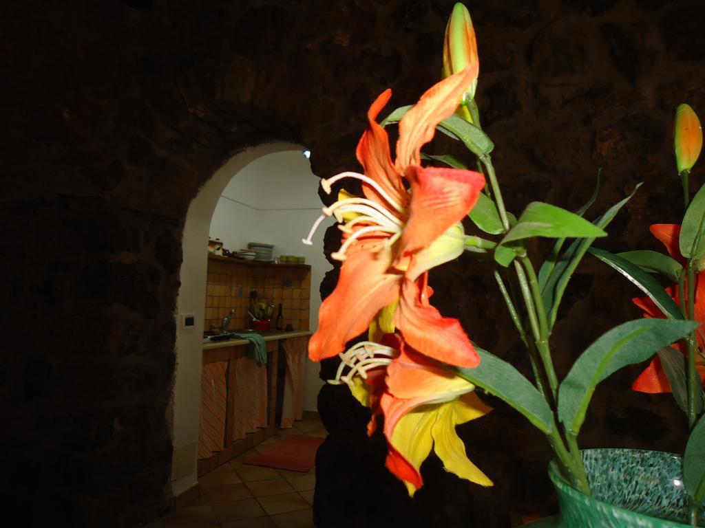 Agriturismo Zibibbodoro Scauri  Dış mekan fotoğraf