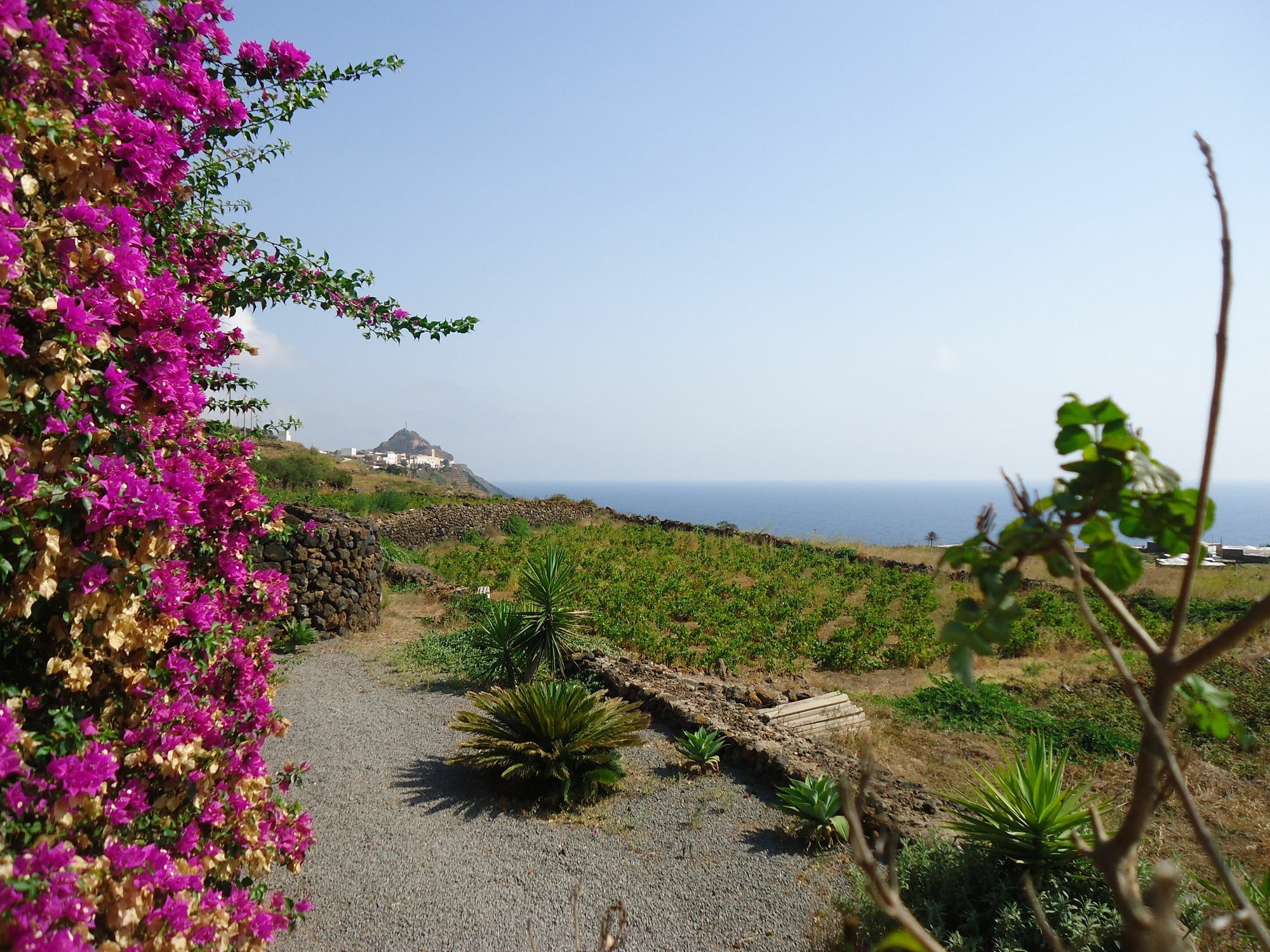 Agriturismo Zibibbodoro Scauri  Dış mekan fotoğraf
